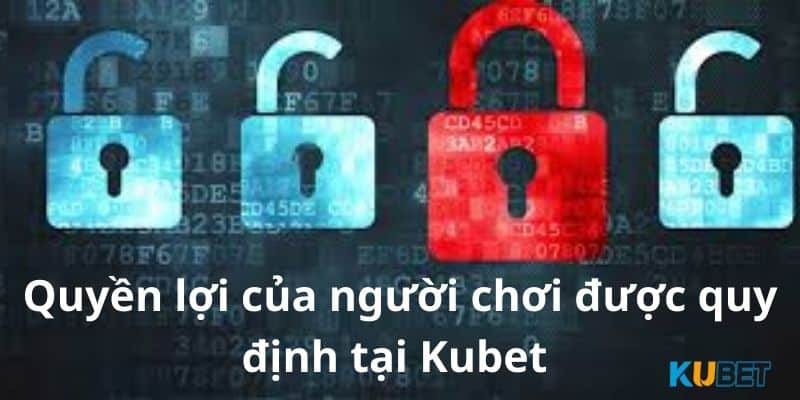 Tầm quan trọng của chính sách riêng tư của nhà cái Kubet