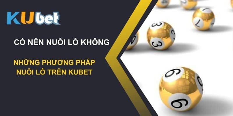 Có nên nuôi lô không? Những phương pháp nuôi lô trên Kubet