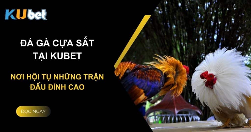 Đá gà cựa sắt tại Kubet: Nơi hội tụ những trận đấu đỉnh cao