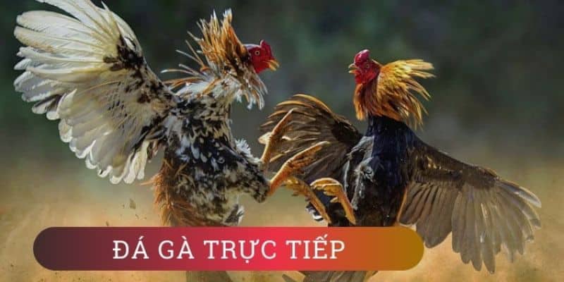 Nhà cái hỗ trợ nhiều phương thức thanh toán khác nhau