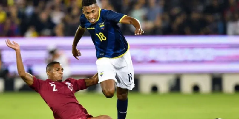 Tìm hiểu về kèo tài xỉu Qatar vs Ecuador