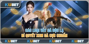 Các Loại Vảy Gà